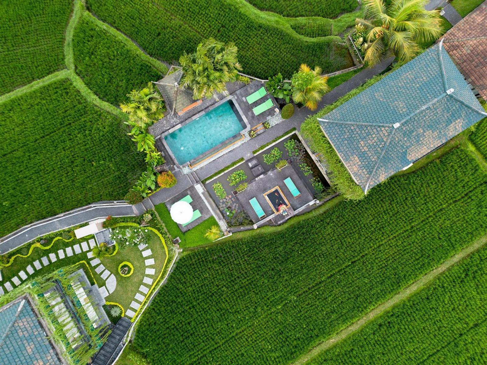 Cahaya Ubud Villa Esterno foto