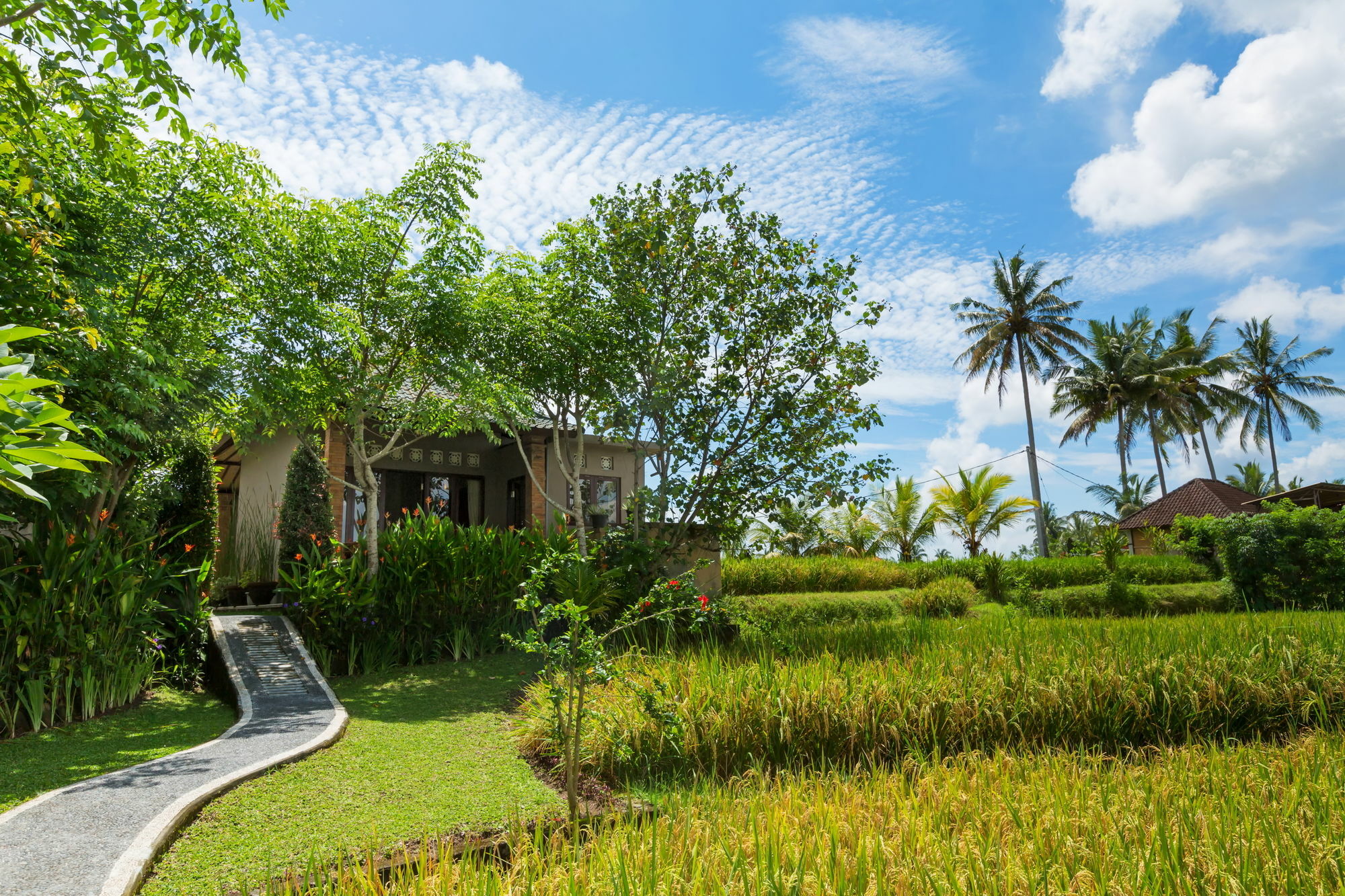 Cahaya Ubud Villa Esterno foto